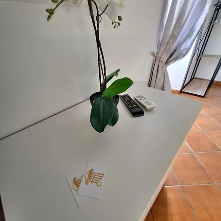 Athena's Apartament
